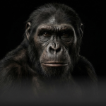 20% din ADN-ul uman este moștenit de la o specie misterioasă superarhaică cu un milion de ani în urmă