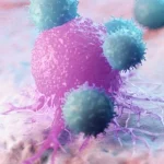 Ce este „Amprenta morţii”:Mecanismul morţii celulare ar putea influenţa răspunsul imun şi răspândirea virusurilor în organism