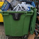 Impactul gestionării deșeurilor asupra mediului urban: cazul restaurantului din Herăstrău