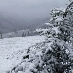 Fenomene Meteorologice Extreme: Impactul Codurilor Portocalii și Galbene de Vânt și Ninsoare în România