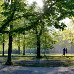 Impactul Mediului Natural asupra Stresului: O Analiză Detaliată a Beneficiilor Naturii pentru Sănătatea Mintală